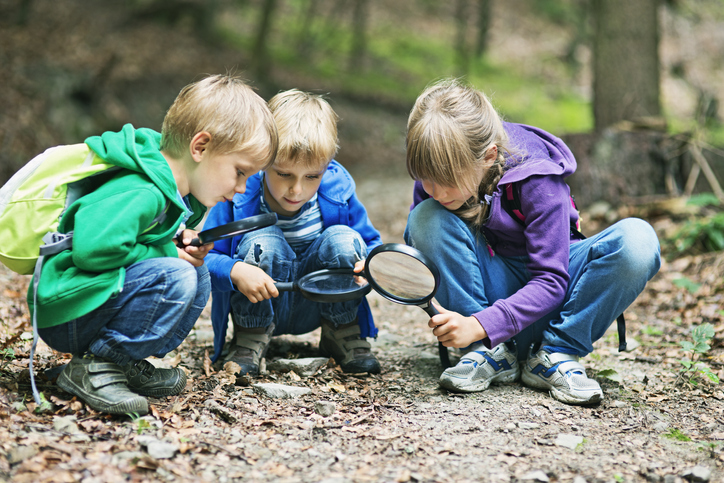 Abbildung zeigt Kinder, die mit einer Lupe den Waldboden untersuchen.