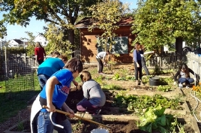 Abbildung zeigt Schülerinnen und Schüler, die in einem Schulgarten arbeiten
